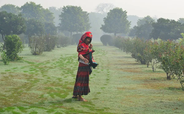 A woman in traditional saree at green park — Stock Photo, Image