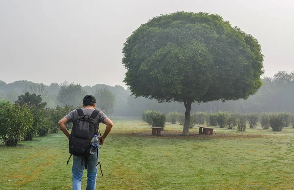 Een man wandelen in Green Park in de vroege ochtend — Stockfoto