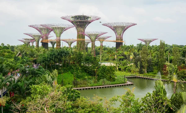 Supertree Grove στο Marina Bay, Σιγκαπούρη — Φωτογραφία Αρχείου