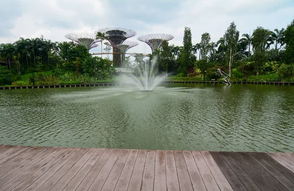 Öffentlicher park in singapore — Stockfoto