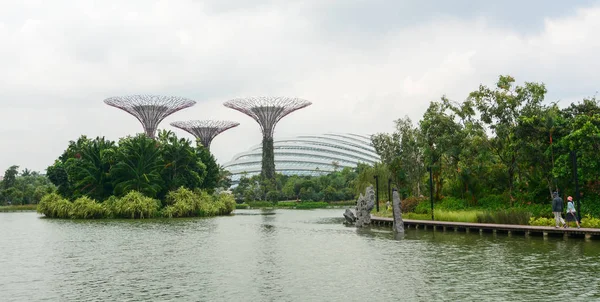 Supertree Grove στο Marina Bay, Σιγκαπούρη — Φωτογραφία Αρχείου