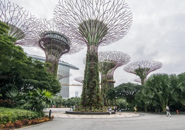 Supertree Grove en Marina Bay, Singapur — Foto de Stock