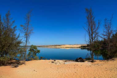 Vietnam kum tepesinde inanılmaz bir şekil. 