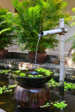 Manikürlü bahçeler.