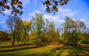 İnsanlar sonbahar parkında yürüyor