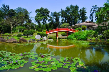 Japon bahçesinde geleneksel kırmızı köprü