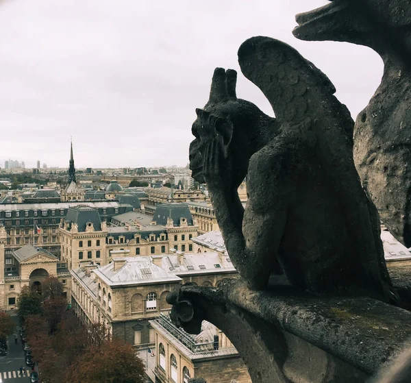 Chimera (Gargoyle) della Notre Dame de Pari — Foto Stock
