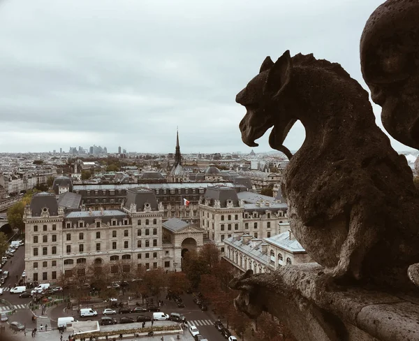 ノートルダム・ド・パリのキメラ(ガルゴイル) — ストック写真