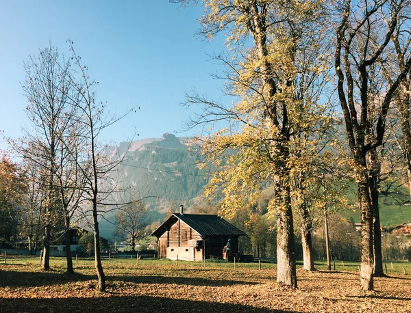 Bergdorp in Grindelwald, Zwitserland — Stockfoto