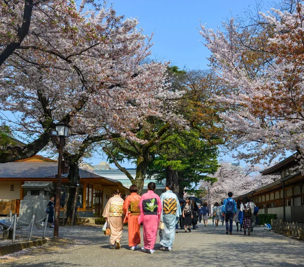 Lidé požívající třešňový květ (Hanami) — Stock fotografie