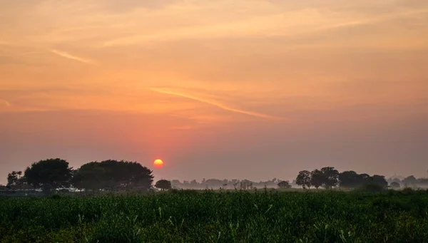 Zonsopgang op het veld in Mandalay, Myanmar — Stockfoto