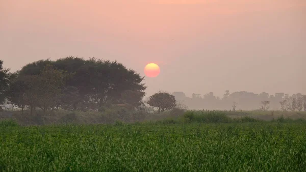 Východ slunce na poli v Mandalaji, Myanmar — Stock fotografie