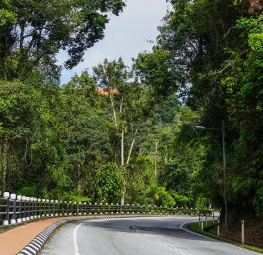Cameron Highlands 'taki dağ yolu.