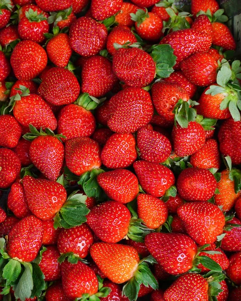 Rote Erdbeeren auf dem Bauernmarkt — Stockfoto