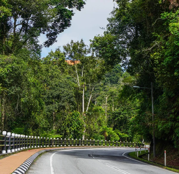 Bergstraße im Hochland von Kamerun — Stockfoto