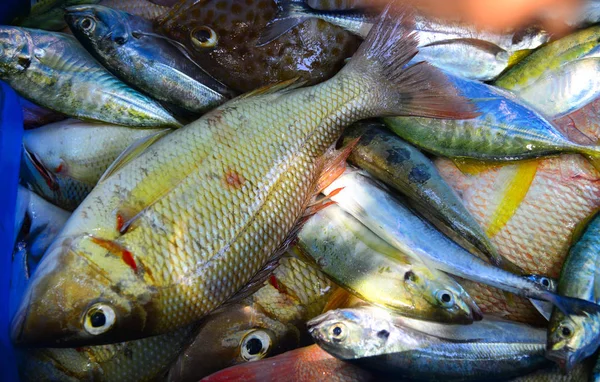 Vente de poisson frais au marché de rue — Photo