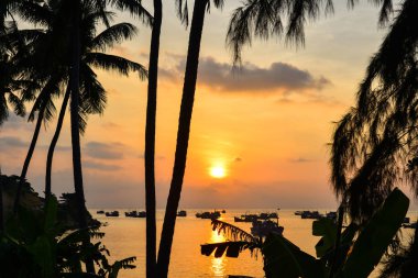 Gün batımında güzel deniz 