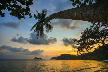 Gün batımında güzel deniz 