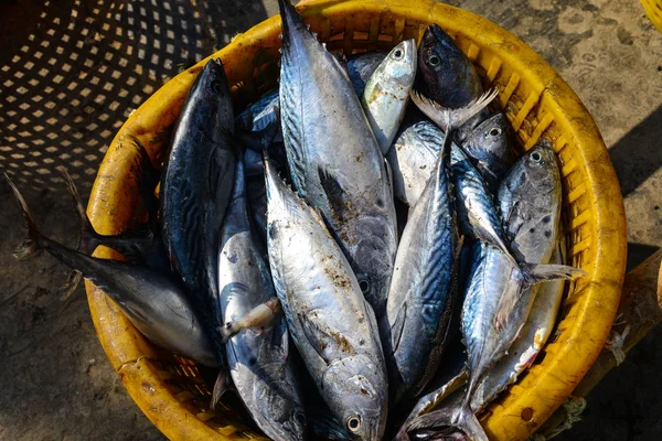 Vendere pesce fresco al mercato di strada — Foto Stock