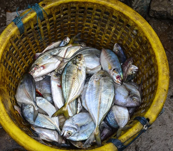 Venta de pescado fresco en el mercado callejero —  Fotos de Stock