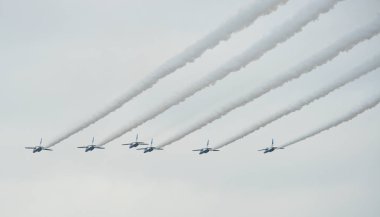 Mavi Tepki Aerobatik Gösteri Takımı