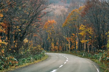 Aomori, Japonya 'nın sonbahar manzarası 