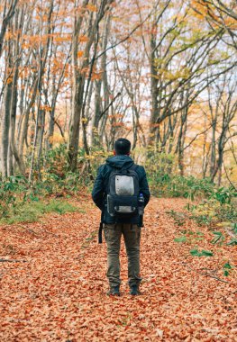 Asian man traveler enjoying autumn forest 