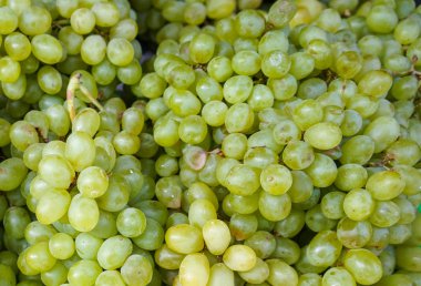 Çiftçi pazarında olgun üzümler