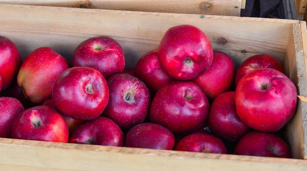 Frisches Apfelobst zum Verkauf auf dem Wochenmarkt — Stockfoto