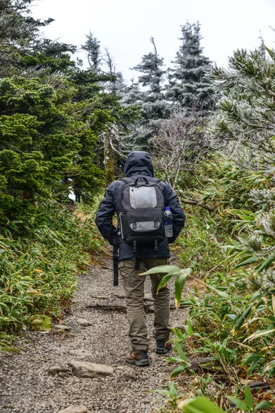 Egy ember túrázik a Hakkoda-hegységben. — Stock Fotó