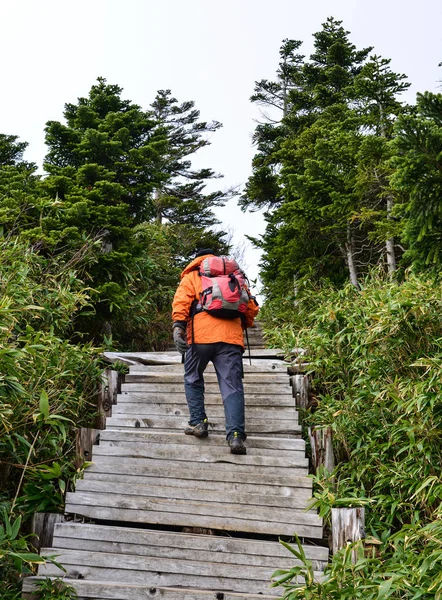 一个人在Hakkoda山上徒步旅行 — 图库照片