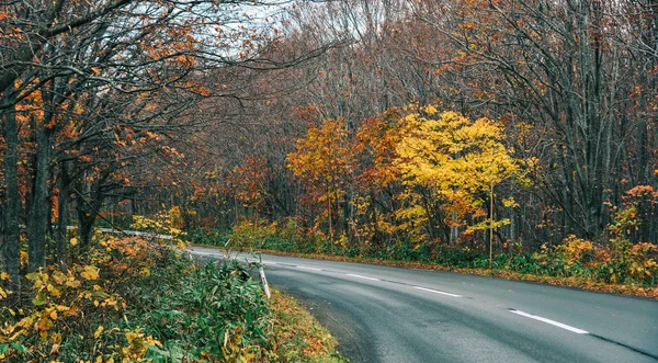 Paysage d'automne d'Aomori, Japon — Photo