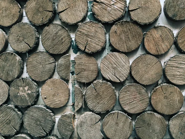 Naturlig trä konsistens för inredning — Stockfoto