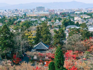 Sonbahar ağaçları ile Antik tapınak 