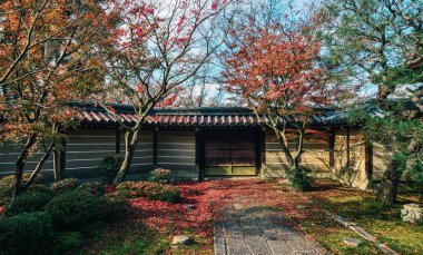 Sonbahar ağaçları ile Antik tapınak 