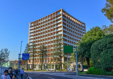 Tokyo Caddesi, Japonya. 