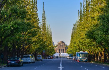 Tokyo Ginko Caddesi, Japonya 