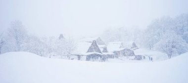 Shirakawago Köyü 'nün güzel manzarası.