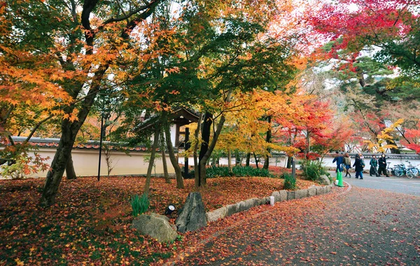 Осінні краєвиди в Арашіямі (Кіото, Японія). — стокове фото