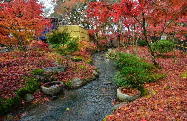 京都・嵐山の秋の風景 — ストック写真