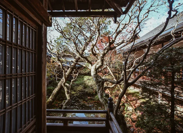 Oude tempel met herfst bomen — Stockfoto
