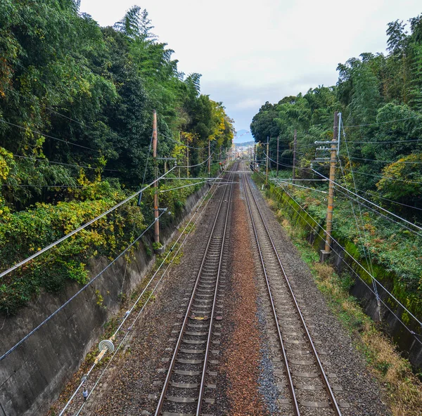 Empty rail tracks at countryside — 스톡 사진