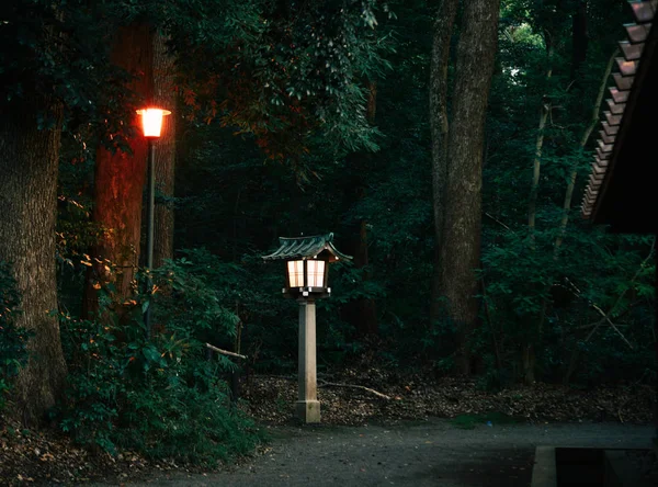 Poste da lâmpada na floresta escura — Fotografia de Stock