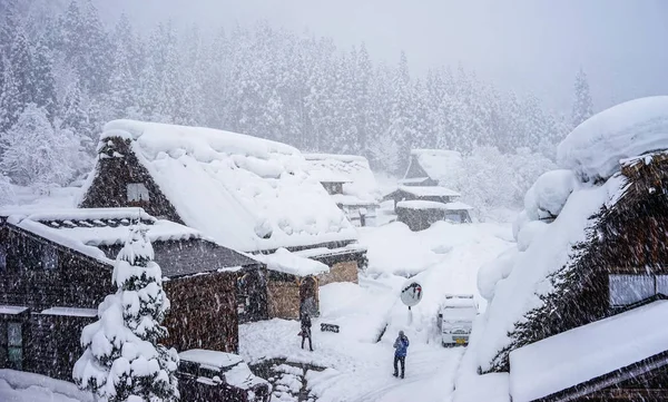 Belle vue paysage du village de Shirakawago — Photo