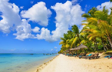 Mauritius Adası 'nın güzel deniz manzarası 