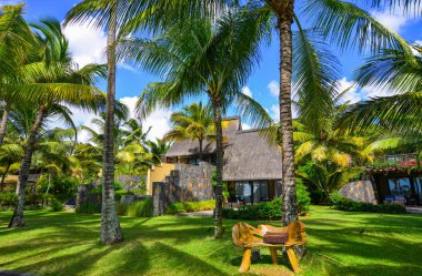 Hindistan cevizi bahçeli Eko Sahil Oteli