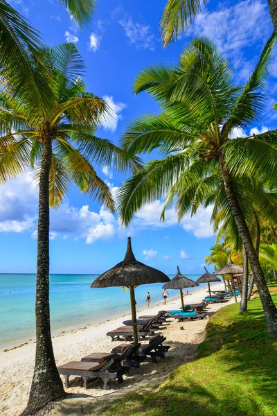 Чудове узбережжя острова Маврикій. — стокове фото