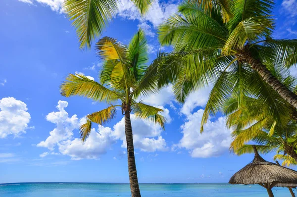 Bellissimo paesaggio marino dell'isola di Mauritius — Foto Stock