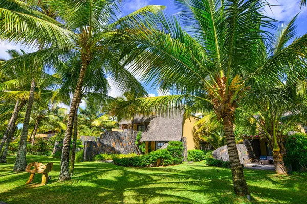 Eco seaside resort with coconut garden — Stock Photo, Image