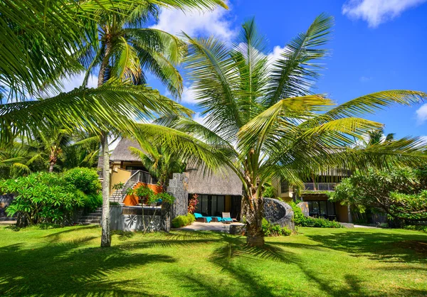 Eco seaside resort with coconut garden